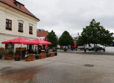 Prevádzky, ktoré na pešej v Nitre zorganizujú podujatie, budú mať výhodu