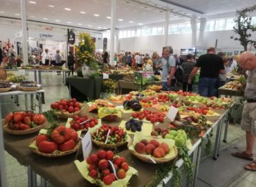 Vstupenky na Agrokomplex po novom kúpite aj v e-shope