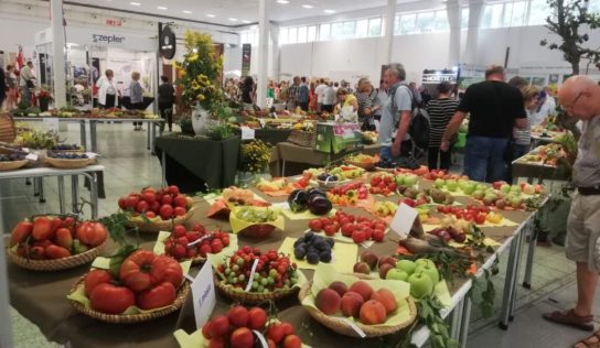 Vstupenky na Agrokomplex po novom kúpite aj v e-shope