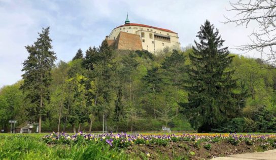 Nitriansky hrad sa dočká viacerých vylepšení: Týkajú sa gotickej priekopy, múzea aj knižnice