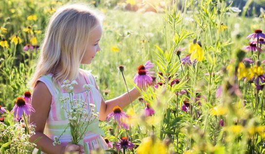 Botanická záhrada SPU začína s prípravou biodiverzitných lúk. Neskôr ich doplní včelnica