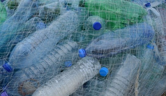Poslanci schválili zákon: Budeme zálohovať PET fľaše a plechovky