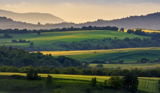 Agrofilm 2019 ako symbol záchrany prírodného bohatstva