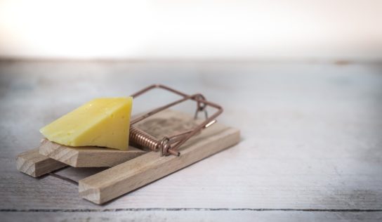 Od konca septembra bude v Nitre prebiehať deratizácia