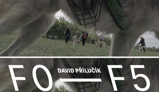 David Přílučík: F0—F5 v Nitrianskej galérii