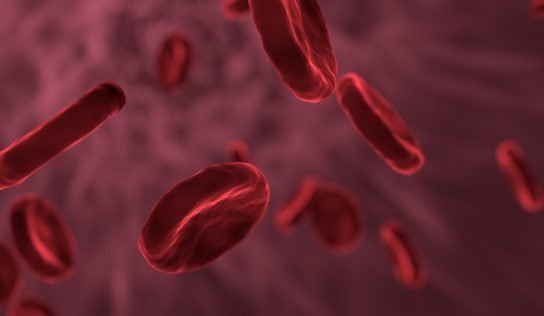 Včasná diagnostika a liečba HIV/AIDS aj v Nitre