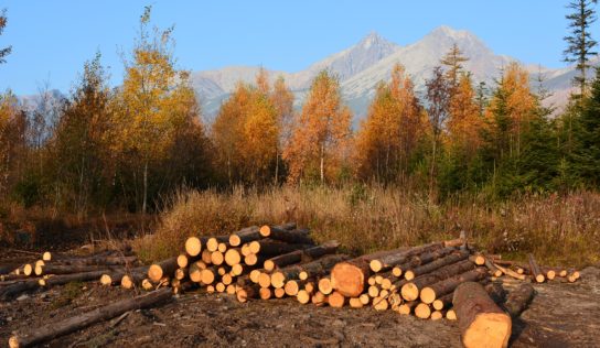 Petíciou bojujú za lepšiu ochranu prírody