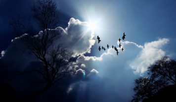 Predpoveď počasia: Záver novembra s oblačným počasím