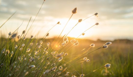 Meteorológovia hlásia na pondelok výstrahy