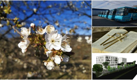 15. týždeň: Voňal jarou a veľkonočnými sviatkami