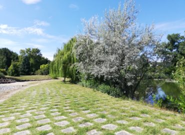 Botanická záhrada SPU pripravuje na záver septembra rôzne aktivity