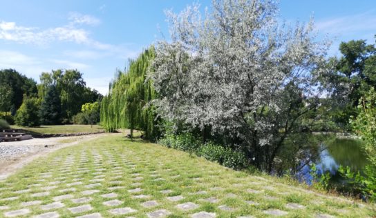 Botanická záhrada SPU pripravuje na záver septembra rôzne aktivity