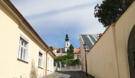 Rozhodnutie uchádzať sa o titul je zrejme riskantné