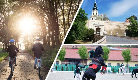 Poradňa: Tipy na výlety v Nitre a okolí. Mesto vám predstaví aj 8-ročný Leo