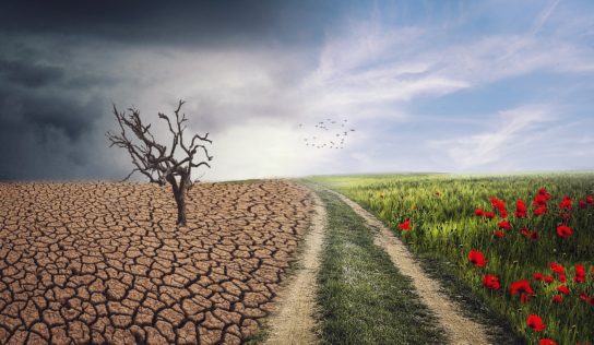 Štyri školy sa zapoja do programu na zmiernenie klimatických zmien