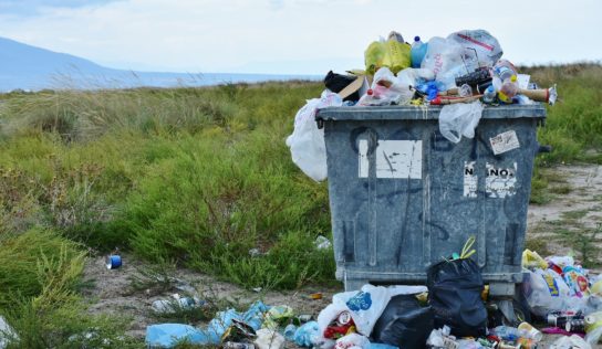 V meste sa vlani vytriedilo takmer 41 percent odpadu