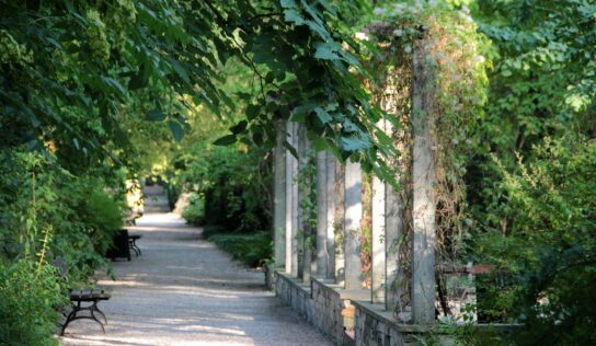 Klimatické zmeny zvyšujú náklady mesta na údržbu zelene 