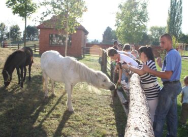 Náhradná výstava Agrokomplexu prinesie aj celoslovenskú súťaž v kosení ručnou kosou