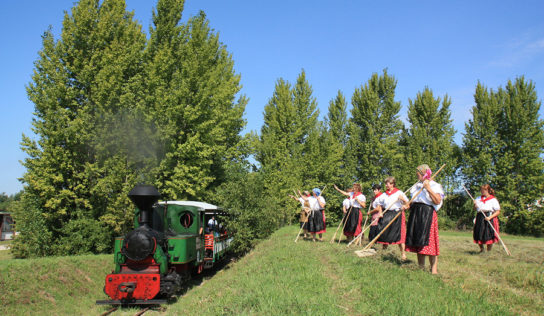 Slovenské poľnohospodárske múzeum predstaví výstavu Život s Covidom. Spustí aj poľnú železnicu