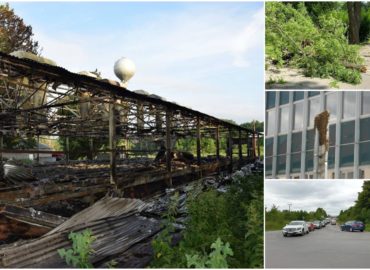 24. týždeň: Búrky, kolóny, včely, požiar a iné starosti
