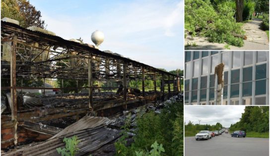 24. týždeň: Búrky, kolóny, včely, požiar a iné starosti