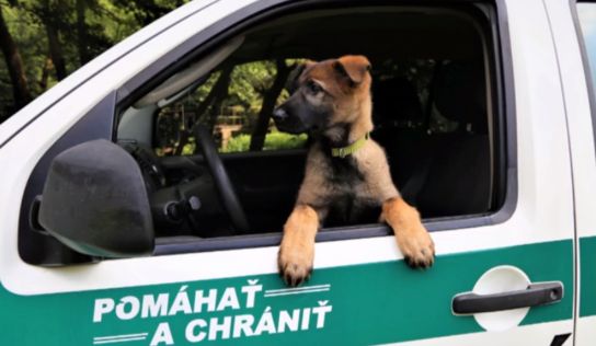 Policajti vítajú nového kolegu. Má štyri nohy a volá sa Zumzum