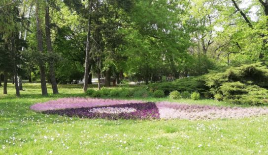 Park na Sihoti prejde zmenami: Pribudne zeleň, lavičky i architektúra