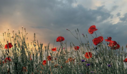 Predpoveď počasia: Po príjemnom víkende sa vráti chladnejšie počasie