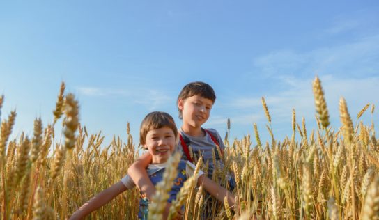 Predpoveď počasia: Letné horúčavy nečakajte