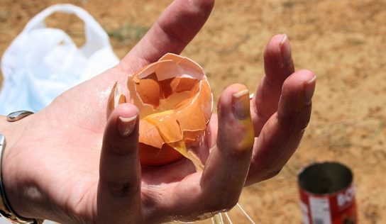 Mesto nedokáže bez podpory štátu spustiť plynulý zber kuchynského odpadu