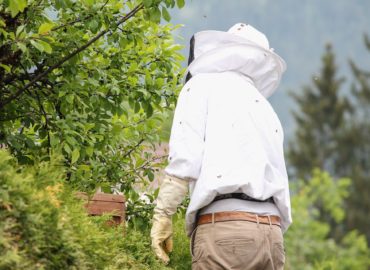 Slovenské poľnohospodárske múzeum pripravuje podujatie s včelárskou tematikou
