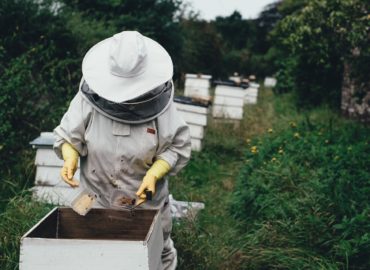 Osveta včelárstva aj obnova včelárskeho skanzenu budú cieľom nitrianskych Včelárskych slávností