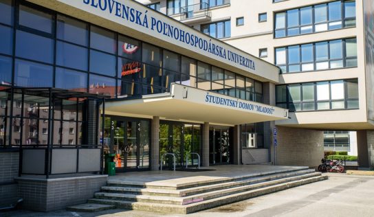 Študenti pôjdu do nového. Izby v Mladosti sú zrekonštruované