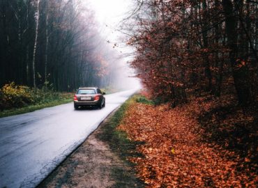 Zraneného psa za Golianovom zachránili poľovníci a náhoda