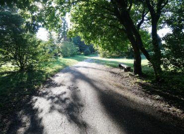 Exteriérová výstava v Botanickej záhrade SPU predstaví vývoj záhradnej a krajinnej architektúry