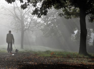 Predpoveď počasia: Ďalší týždeň s jesennými hmlami