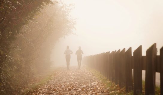 Predpoveď počasia: Hmlistá jeseň