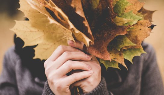 Predpoveď počasia: Postupnému ochladzovaniu sa už nevyhneme