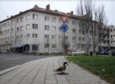 V Reprezentačných sálach sprístupnia novú výstavu „Do prírody galérie?“