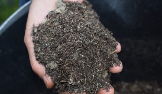 Dobrá správa pre záhradkárov: NKS ponúkajú kompost zadarmo