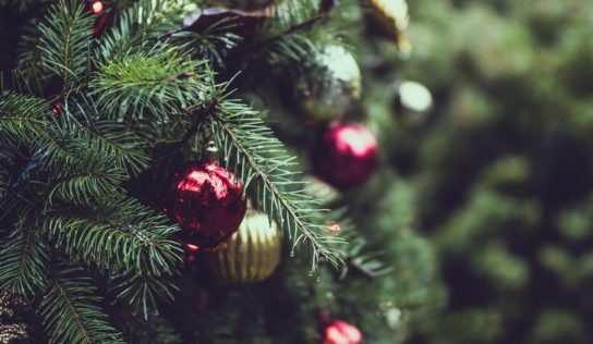 Kam so stromčekom po Vianociach?