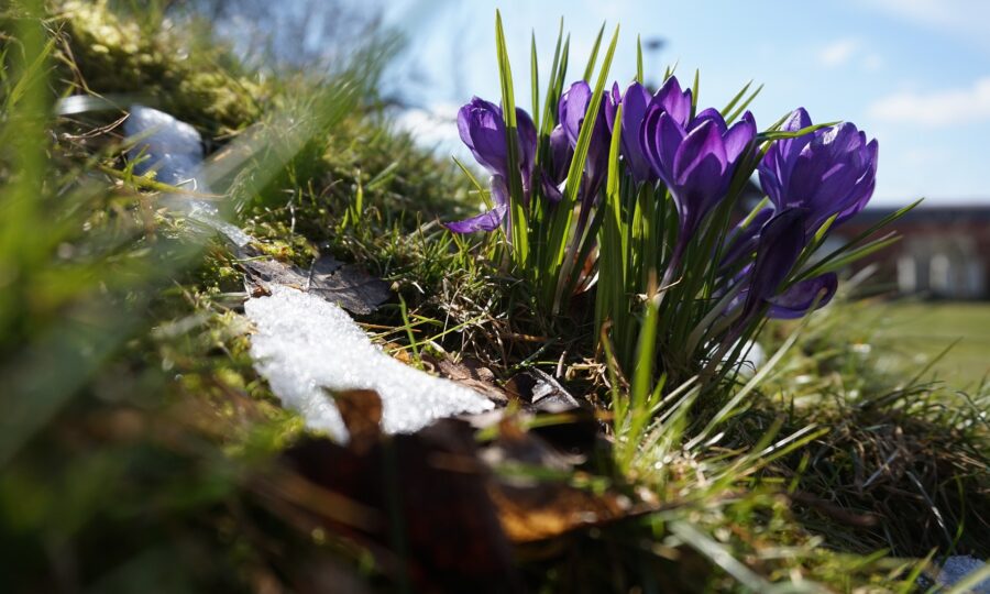 Predpoveď počasia: Vracajú sa chladnejšie dni