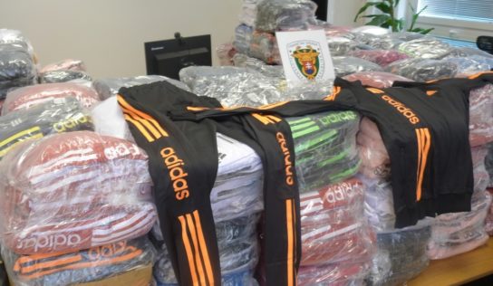 Nitrianski colníci v tomto roku stihli zaistiť tisíce falzifikátov