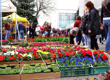 Na výstavisku bude prebiehať obľúbená Gardenia. Treba dodržať opatrenia