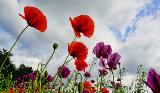 Predpoveď počasia: Slnko sa bude schovávať aj ďalší týždeň