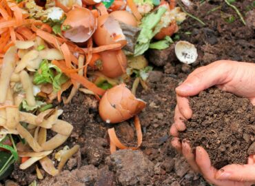 Nitra spúšťa druhé kolo výdaja kompostérov