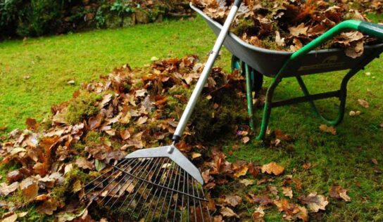 Jesenné upratovanie v Nitre sa blíži