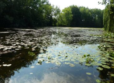 SPU získala grant na zlepšenie znehodnotených ekosystémov mokradí