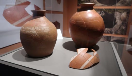 Germáni a ich kultúra v Ponitrianskom múzeu