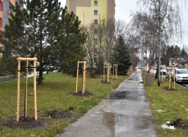 V Leviciach pribudli stovky stromov a trvaliek